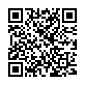 QR Assistent Zaehlkammer Thoma 440/2 buy online