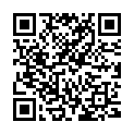 QR Assistent Zaehlkammer Tuerk buy online