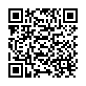 QR Optichamber Inhalierhilfe buy online