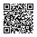 QR Gribi Ayre Spatel Holz 100 Stück buy online