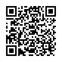 QR Gribi Instrumentenkoecher 5x10cm buy online