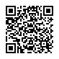 QR Gribi Instrumentenkoecher 5x17cm buy online