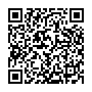 QR BD Plastipak Wund Blasenspritz 50/60ml 3-teilig buy online