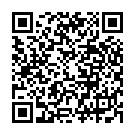 QR Assistent Messkolben Duran 1000ml mit Stopfen buy online