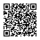 QR Assistent Messkolben Duran 500ml mit Stopfen buy online