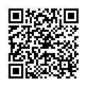 QR Ideal Maxi Baumwolle Nr. 66 Schiefer buy online