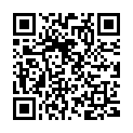 QR Recozit Fliegenfänger Leimband 4 Stück buy online