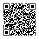QR Braun Duodenalsonde Levin Ch 12 125cm 150 Stück buy online