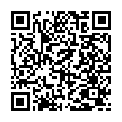QR Braun Heidelberg Verlängerung 100cm L Lock 100 Stück buy online