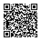 QR Butsch cooker clamp Ochsner 16cm 1:2 Z straight buy online