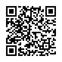 QR Ako Metallpflege 100ml buy online