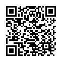QR Bastos Viegas rescue blanket buy online