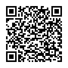 QR Metronidazol Braun Infusionslösung 20 Miniflac 100ml buy online