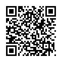 QR Cerazette 3x28 Tabletten buy online