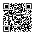QR Butsch plaster scissors Stille 23cm buy online