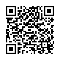 QR Butsch plaster scissors Wolff 24cm buy online