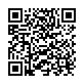 QR Butsch plaster spreader Henning 28cm buy online