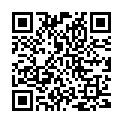 QR Butsch splitter tongs Stiegel 13.5cm buy online