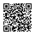 QR Hagerty Silver Duster silver cloth 55x35cm buy online