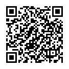 QR MalleoLoc Stabilorthese Sprunggelenk Grösse 2 Links Titan buy online