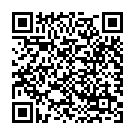 QR MalleoLoc Stabilorthese Sprunggelenk Grösse 1 Rechts Titan buy online