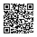 QR Herba hair dryer brush 27mm round 5264 buy online