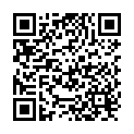 QR Holle Hafergrütze Demeter 500g buy online