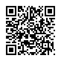 QR Hagerty Sos Cleaner Reiniger 500ml buy online