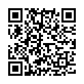 QR Motex Hausfliegenfalle 4 Stück buy online