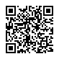 QR Dansac Dan-ex sanitary bag 23x40cm roll buy online