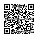 QR Telebrix Gastro Lösung Flasche 50ml buy online