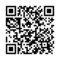 QR Party Time Zahnstocher Rundholz 1000 Stück buy online