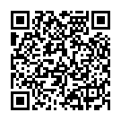 QR Sahag Griffpolster Neotex Reissvers Schwarz 1 Paar buy online