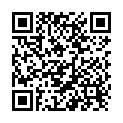 QR Advance 1x Katheter Ch14 20cm Frau Nelaton 25 Beutel buy online