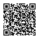 QR Safeview Rahmen Farblich Ass Beutel 10 Stück buy online