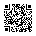 QR 3M Polsterwatte 15cmx2.7m Rolle 12 Stück buy online