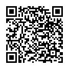 QR Bort Aktive Color Kniebandage Grösse S -32cm Hautfarbe buy online