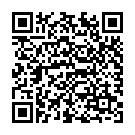 QR Hollister Beinbeutel Halterung Grösse M 45-75cm 4 Stück buy online