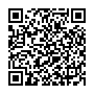 QR Anwander Allround Lukas Tropfflasche 100ml 10 Stück buy online