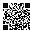 QR Jet Legs Travel Socks Grösse 36-40 Navy 1 Paar buy online