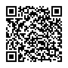 QR Mollelast Elastische Fixierbinde 6cmx4m Weiss 20 Stück buy online