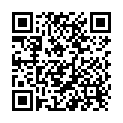 QR Bimsstein Sizilianisch T3 Mausform Gross In Karton buy online