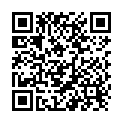QR Renov Möbel Liquid Plastikflasche 500ml buy online