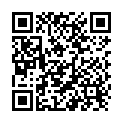 QR E Z Em Miller Tip No 9507 12 Stück buy online