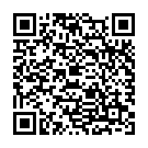 QR Pehazell Verbandzellstoff 37x57cm Gebleicht 5kg buy online