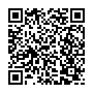 QR Pionier Fruchtzucker-Sirup Holunderblüten 500ml buy online