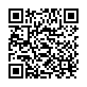 QR Burgerstein L-Carnitin tablets Ds 100 pieces buy online