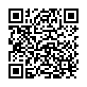 QR Nippes Sandblattfeile 13cm 10 Stück 93/13 buy online