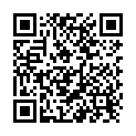 QR Pudol Display Assortiert 20 Stück buy online