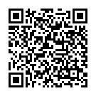 QR Hausella T Fix Netzhöschen Ab 85kg Braun 5 Stück buy online